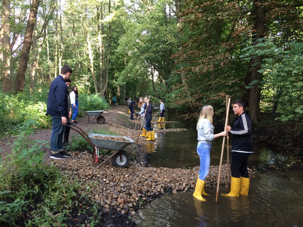Gruppierung von Menschen in einem Waldgebiet, die an einem Gewässer arbeiten. Einige Personen stehen im Wasser, während andere am Ufer stehen. Es sind Schubkarren und Werkzeuge sichtbar, und die Menschen tragen Gummistiefel. Umgebende Natur mit Bäumen und grünem Laub.