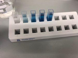 Eine Labortischansicht mit einem weißen Halter, der mehrere kleine, farbige Küvetten enthält. Die Küvetten sind in verschiedenen Blautönen gefüllt. Im Hintergrund ist ein Glasbehälter mit einer klaren Flüssigkeit sichtbar.