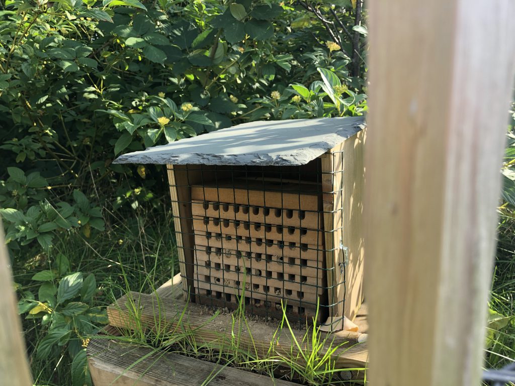 Ein Insektenhotel aus Holz mit einem schrägen Dach steht auf einem Holzuntergrund, umgeben von grünen Pflanzen und Sträuchern. Das Hotel hat kleine Kammern, die durch ein Gitter sichtbar sind.