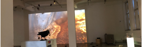 Ein moderner Ausstellungsraum mit weißen Wänden und einem hellen Boden. Im Hintergrund sind große, abstrakte Projektionen in warmen Farben an die Wand geworfen. In der Mitte des Raumes steht ein rechteckiger, grauer Ausstellungstisch mit einem schwarzen Objekt darauf. Rund um den Tisch liegen verschiedene kleine, unregelmäßige Steine. Die Beleuchtung ist gleichmäßig und hebt die Kunstwerke hervor.