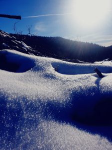 Schneebedeckte Landschaft mit glitzerndem Schnee im Vordergrund, im Hintergrund eine bewaldete Hügelkette und ein klarer blauer Himmel mit der Sonne, die hell strahlt.