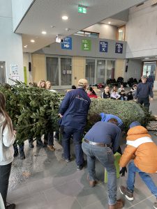 Eine Gruppe von Menschen arbeitet zusammen, um eine große grüne Pflanze oder einen Weihnachtsbaum in einem Innenraum aufzustellen. Im Hintergrund sitzen weitere Personen, die zuschauen. Die Umgebung ist hell erleuchtet, und es gibt Informationsschilder an den Wänden. Einige der Personen tragen Winterkleidung, während andere lässige Kleidung haben.