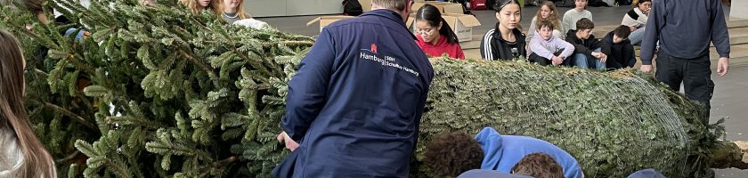 Eine Gruppe von Menschen arbeitet zusammen, um eine große grüne Pflanze oder einen Weihnachtsbaum in einem Innenraum aufzustellen. Im Hintergrund sitzen weitere Personen, die zuschauen. Die Umgebung ist hell erleuchtet, und es gibt Informationsschilder an den Wänden. Einige der Personen tragen Winterkleidung, während andere lässige Kleidung haben.