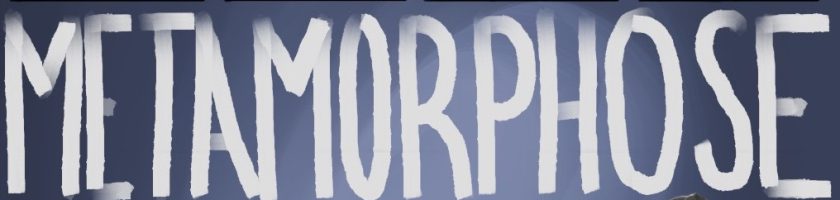 Text auf dem Bild: "METAMORPHOSE" in großen, weißen Buchstaben auf einem blauen Hintergrund.