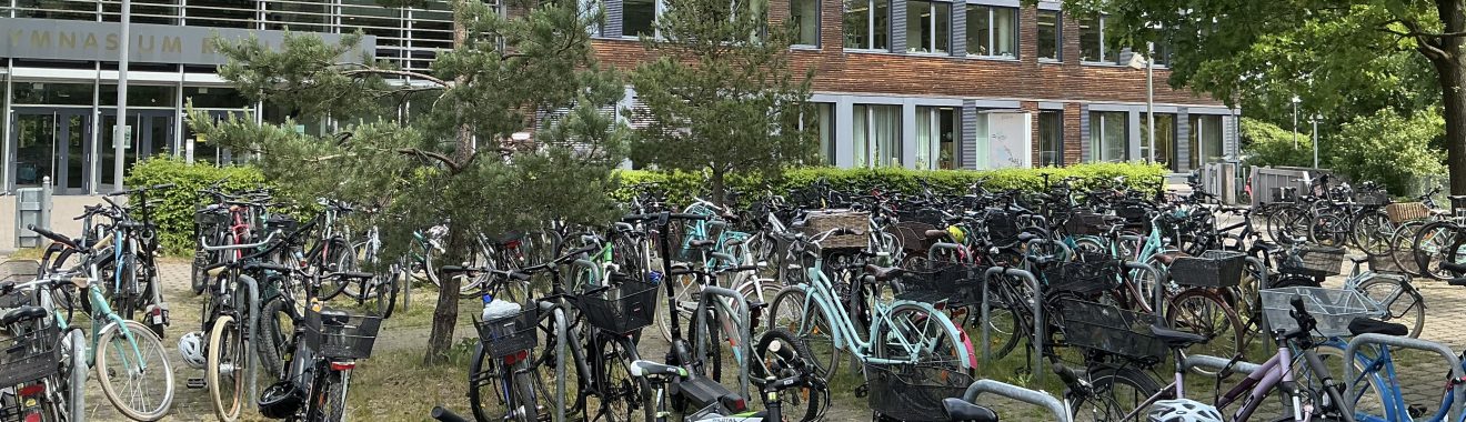 Eine große Ansammlung von Fahrrädern steht auf einem Platz, umgeben von Bäumen und Gebäuden. Im Hintergrund sind teilweise Fenster eines Hauses sichtbar. Der Boden ist mit Gras und Erde bedeckt.