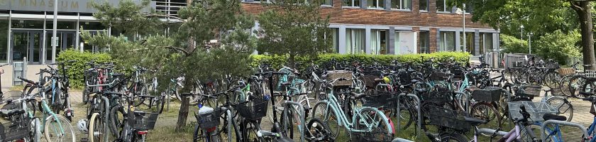 Eine große Ansammlung von Fahrrädern steht auf einem Platz, umgeben von Bäumen und Gebäuden. Im Hintergrund sind teilweise Fenster eines Hauses sichtbar. Der Boden ist mit Gras und Erde bedeckt.